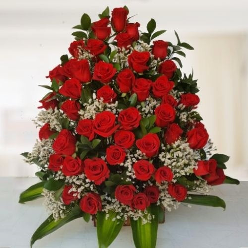 Five dozen red roses in vase