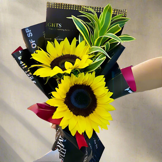 Bouquet with 2 bright sunflowers and greenery in black Korean paper wrap with red bow – delivery in Arboletes, Antioquia