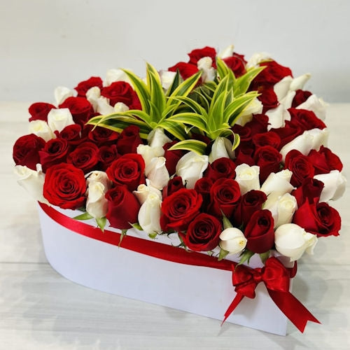 Pristine Love Elegance Box / 70 Roses