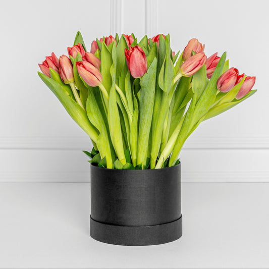 Modern Black Box with 20 Fresh Red Tulips – Same Day Delivery Medellín