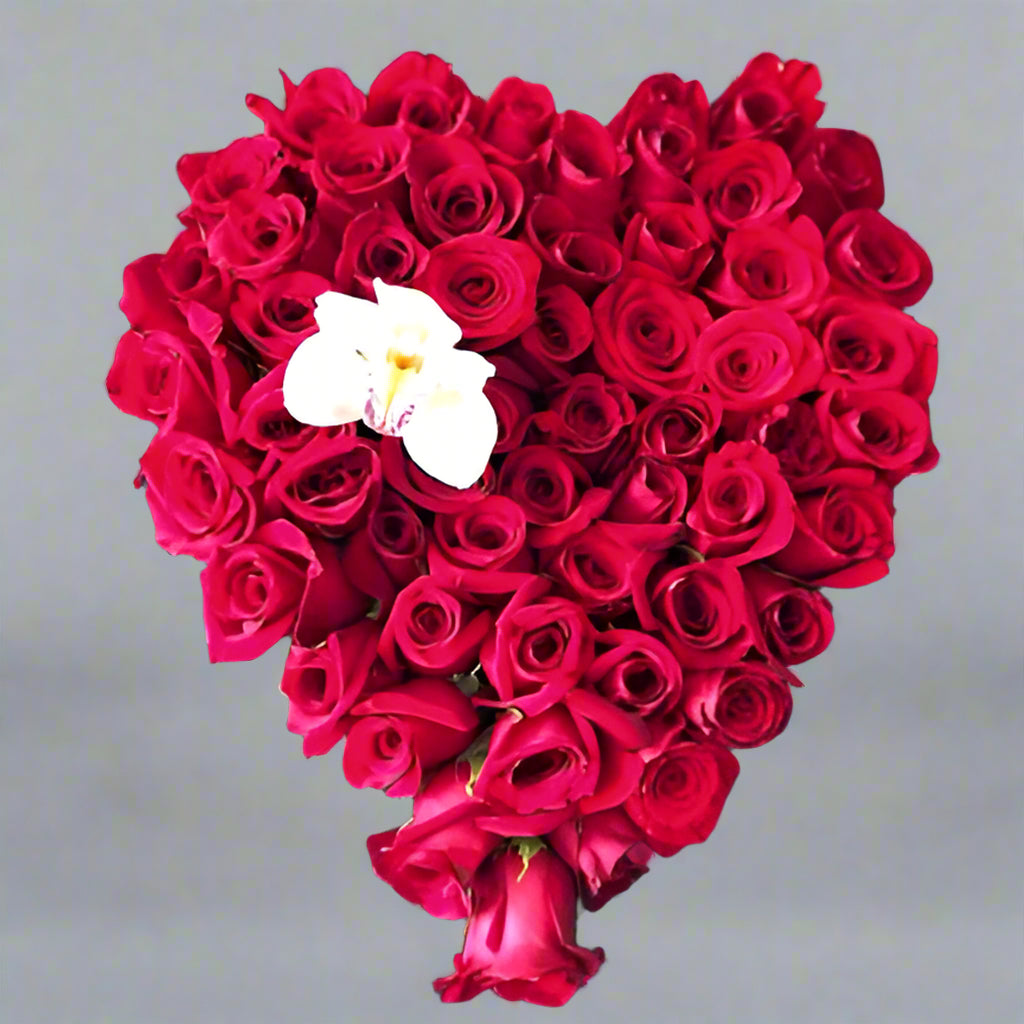 Heart-shaped floral arrangement with 50 red roses and a white orchid, perfect romantic gift for delivery in Barranquilla.