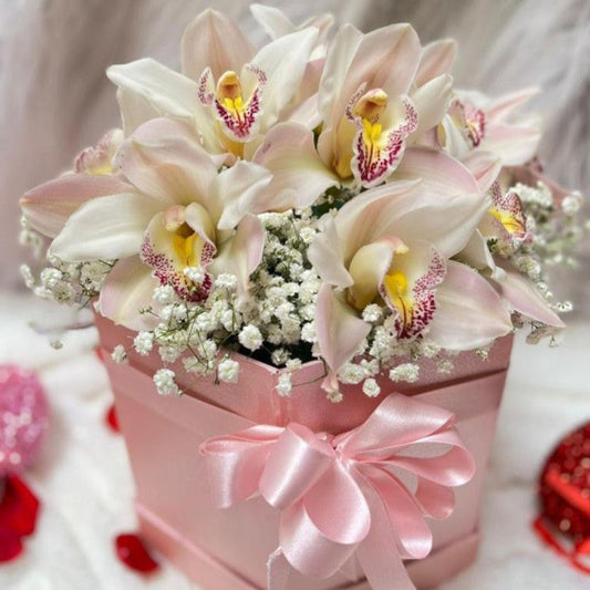 Elegant pink orchid arrangement with baby’s breath in a luxury box – Medellín flower delivery