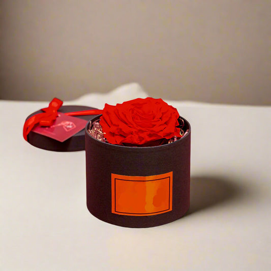 Premium preserved red rose lasting up to 2 years, displayed in an elegant black luxury box with a personalized card, perfect for Valentine’s Day in Medellín.
