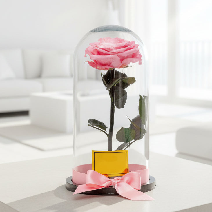 Elegant eternal pink preserved rose in a glass dome with a delicate ribbon. A luxurious and long-lasting Women's Day gift for delivery in Medellín