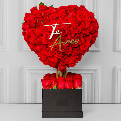 Exclusive 3D heart with over 100 red roses, unique design available in Medellín