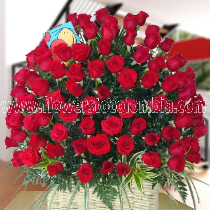 100 roses