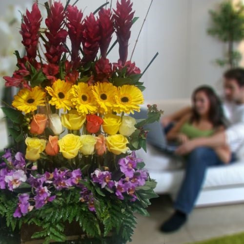 Exotic mixed colors arrangement