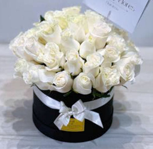 Beautiful box of 50 white roses in a luxury black box, available for delivery across Colombia