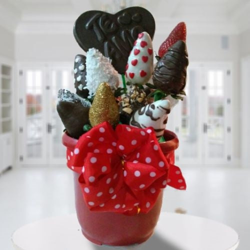 STRAWBERRIES & CHOCOLATES