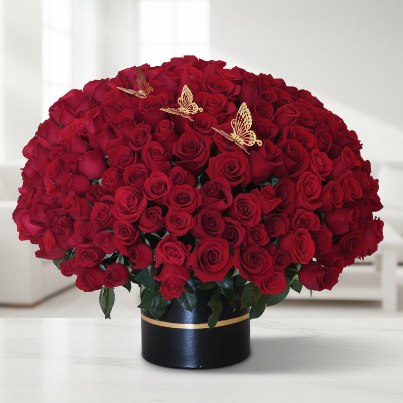 Bouquet of 24 dozen red roses Cali
